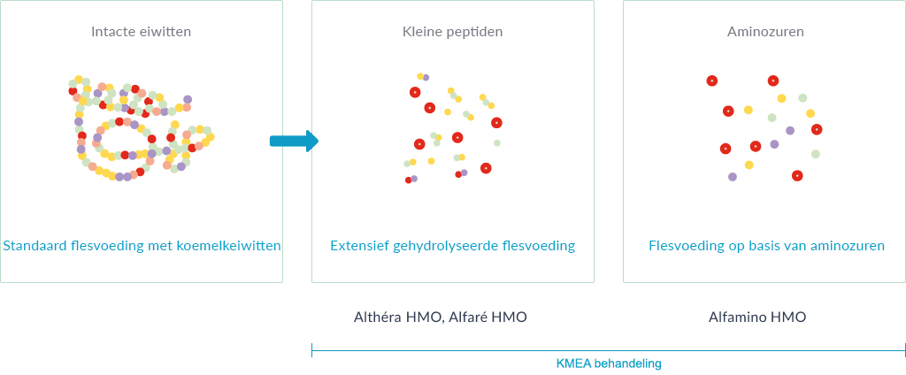 5 protein peptides acids