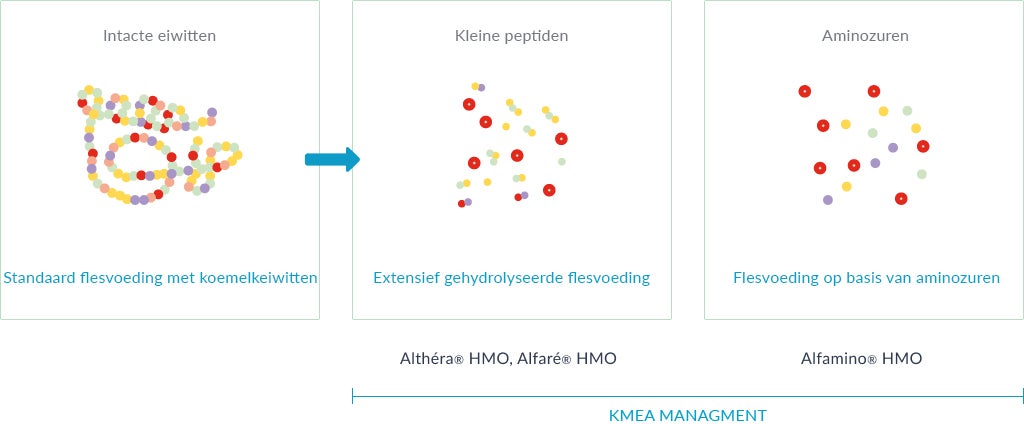 5 protein peptides acids