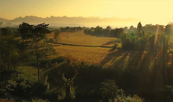 Qualité de vie et impact environnemental