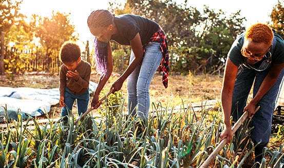 Qualité de vie et impact environnemental